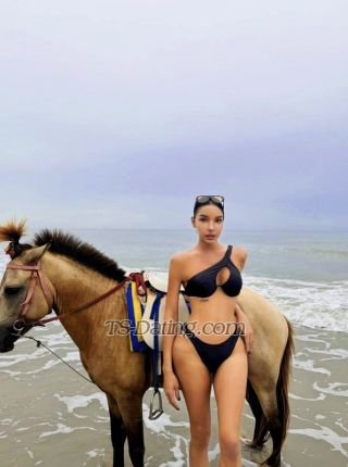trans girl Zuleyka1234 3300898 trans girl Zuleyka1234 3300898