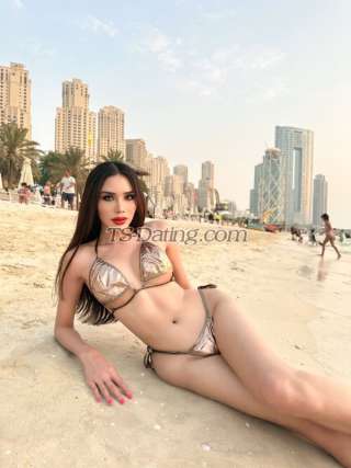 trans girl zeenan38 3263544 trans girl zeenan38 3263544