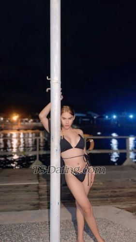 trans girl zyzy03 8804240 trans girl zyzy03 8804240